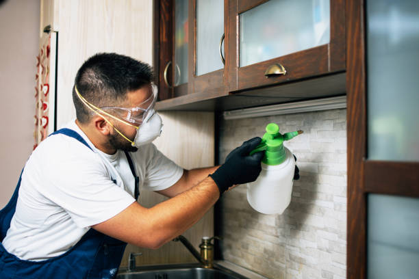 Best Pest Control for Restaurants  in Scott, LA