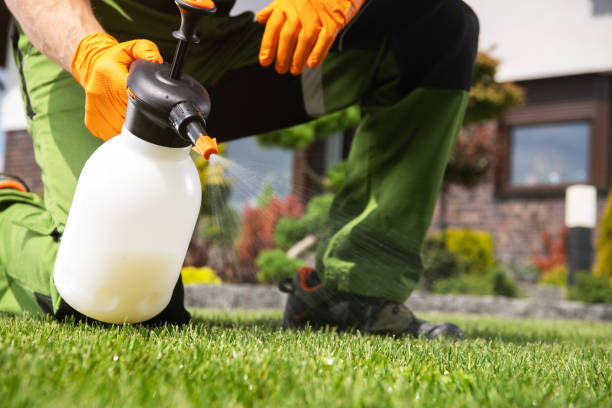 Best Local Pest Control Services  in Scott, LA