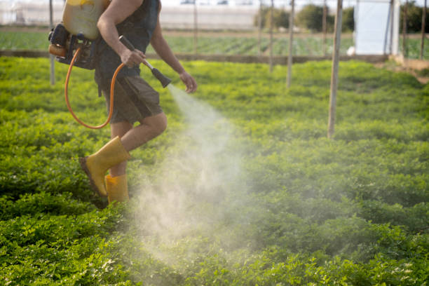 Best Best Pest Control Companies  in Scott, LA
