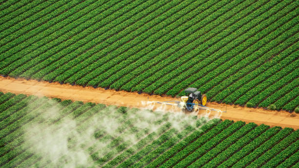 Best Pest Control Cost  in Scott, LA
