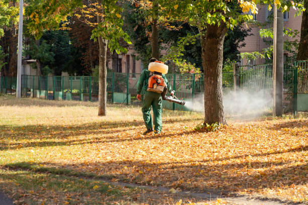 Best Mosquito Control Services  in Scott, LA