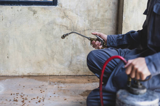 Best Exterminator Services  in Scott, LA